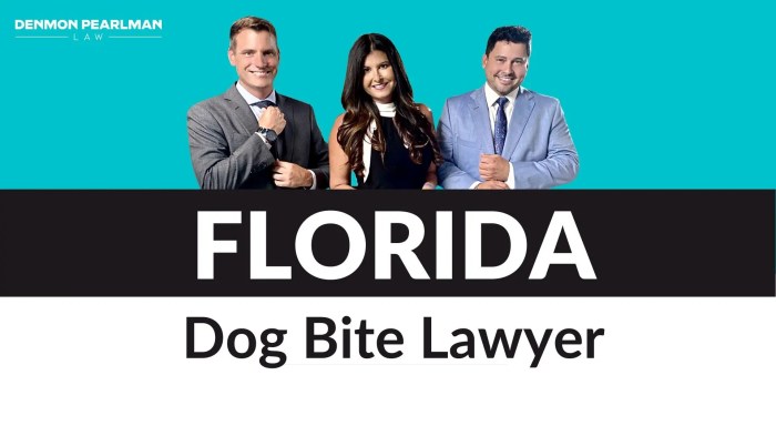 Dog bite lawyer san diego