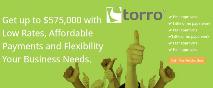 Torro loans