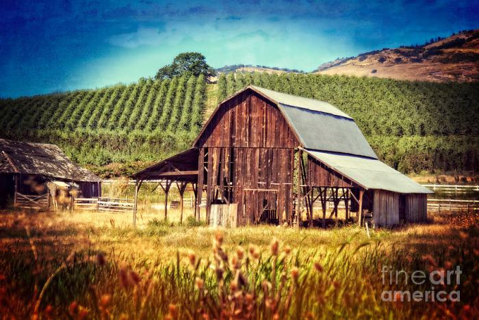 Farm loans oregon