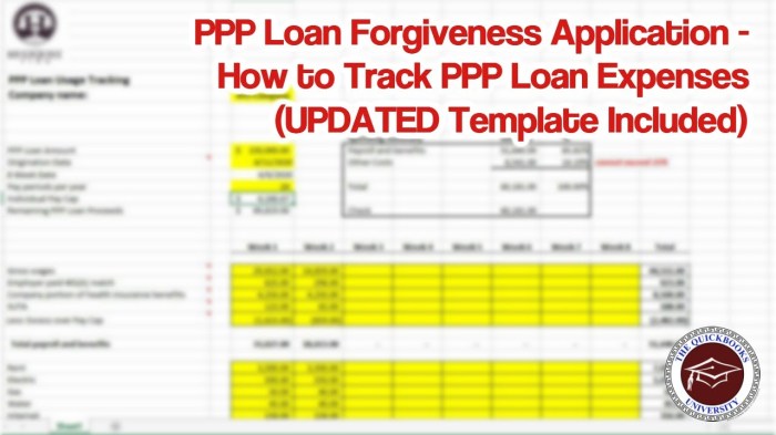 Scratch ppp loan forgiveness