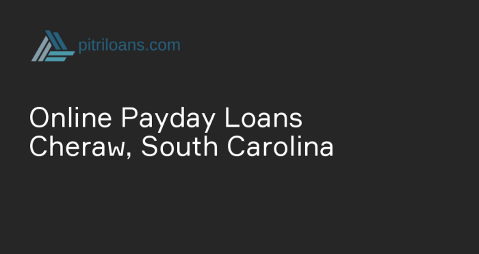 Payday loan loans