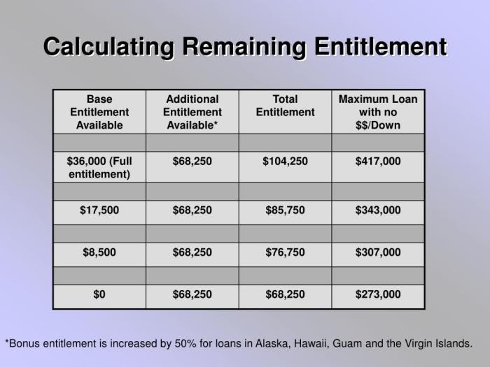 Va max loan amount worksheet