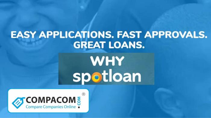 Loans like spotloan