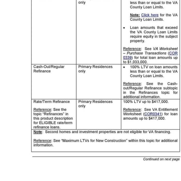 Va max loan amount worksheet