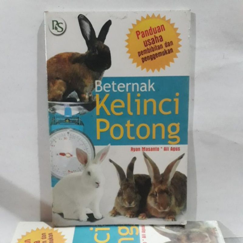 rabbit animals conejo rabbits farming mariposa shortest domestic coniglio kelinci potong budidaya rabits lapin ferme gisors freddo temperatura tenderness hare