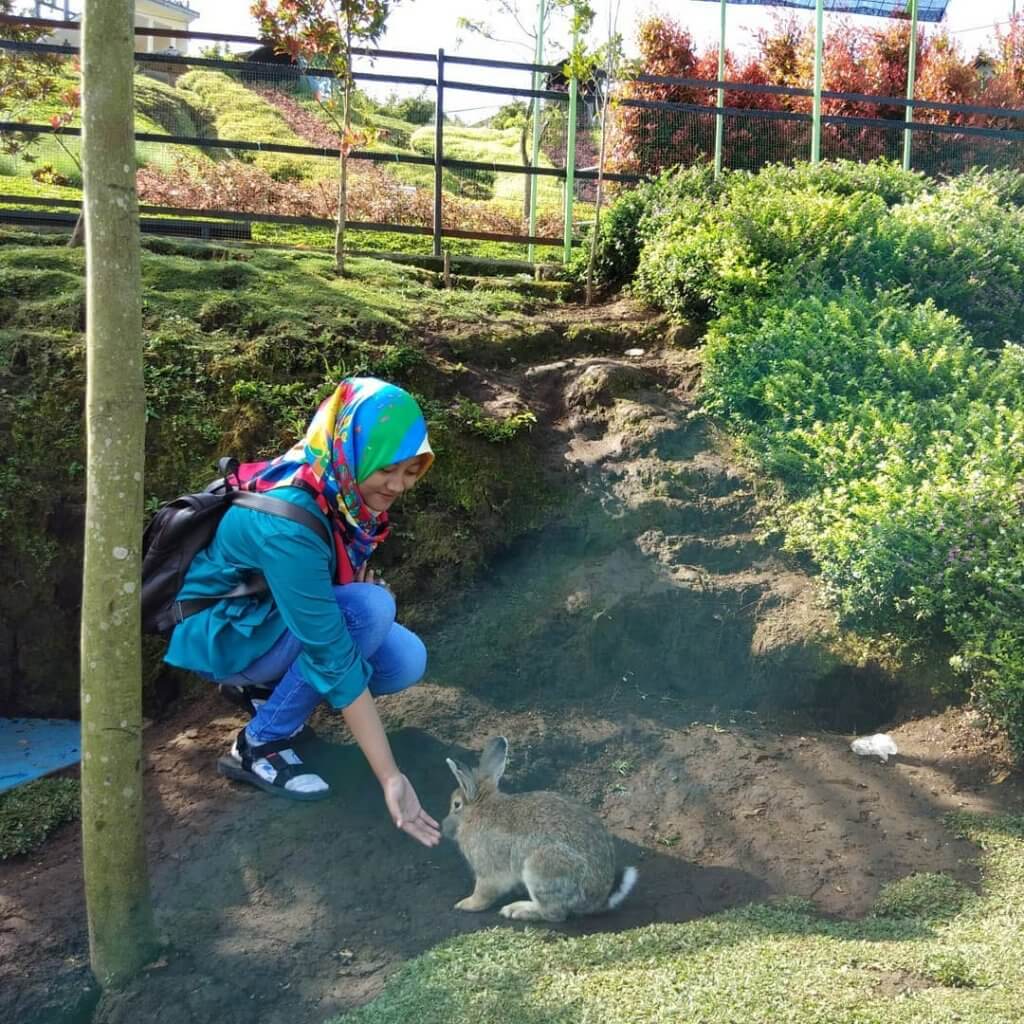 kelinci destinasi kota balekambang surakarta wisata kenalkan jateng prov