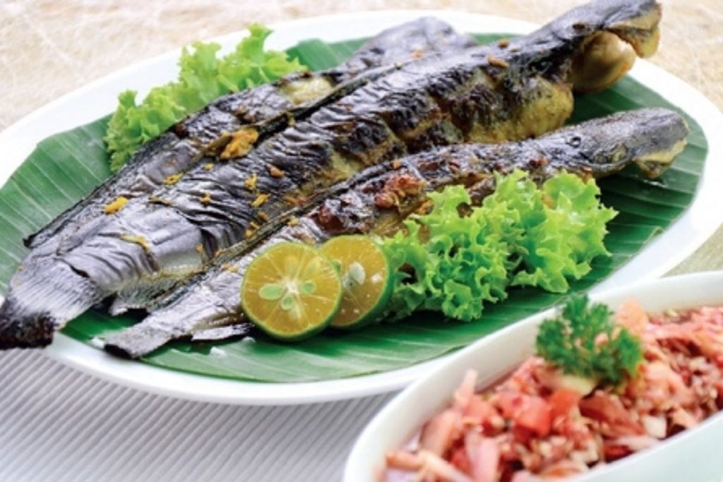 kandungan protein ikan asin untuk ternak kelinci terbaru