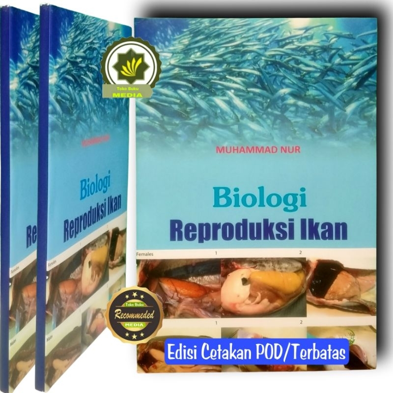 buku beternak budidaya kelinci oleh sumardi terbaru