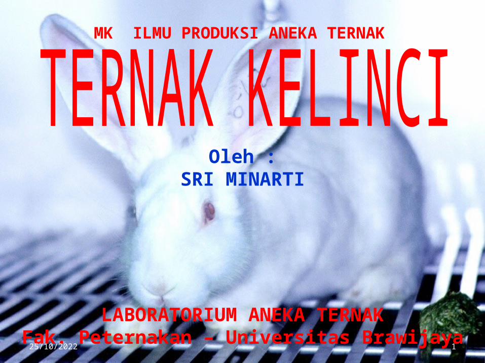 ilmu ternak kelinci terbaru