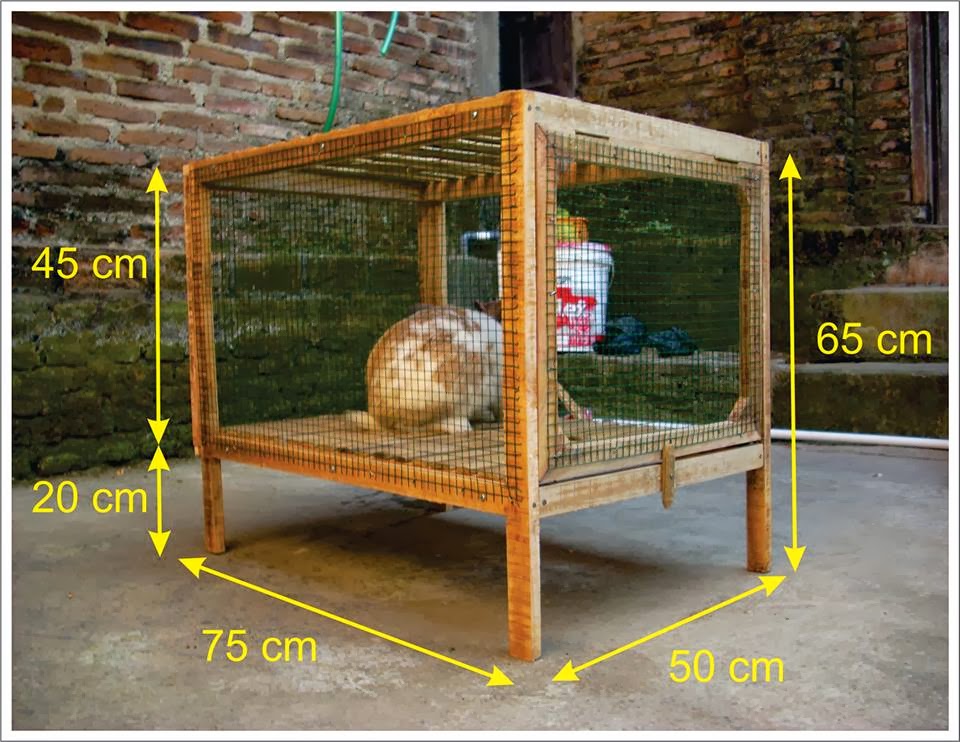 kandang kelinci ayam kucing bambu galvanis ukuran rangka murah sendiri kecil