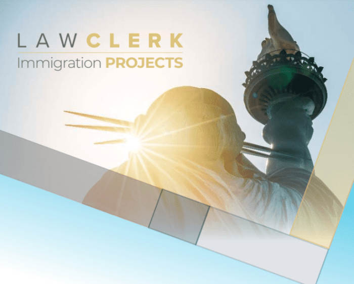 Remote immigration attorney jobs