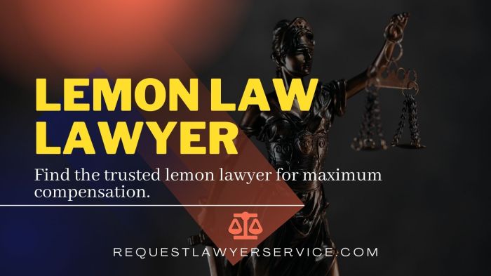 Lemon attorney