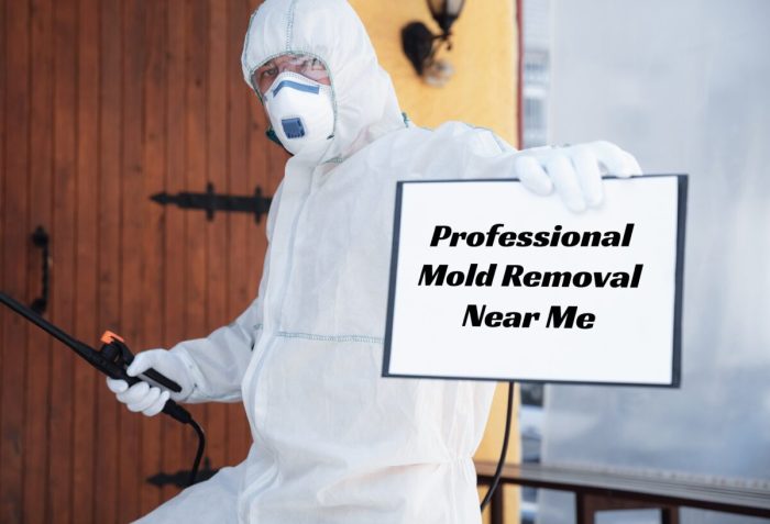 Mold attorneys near me