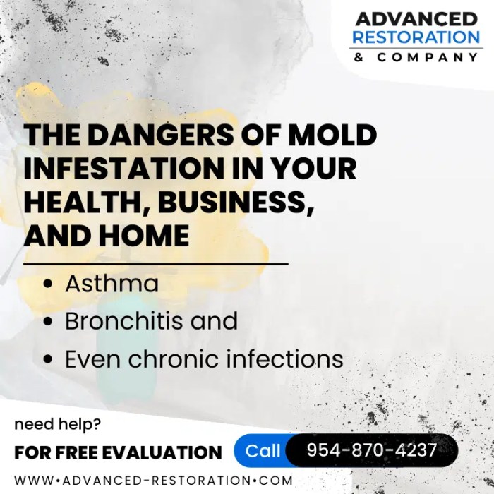 Mold attorneys near me