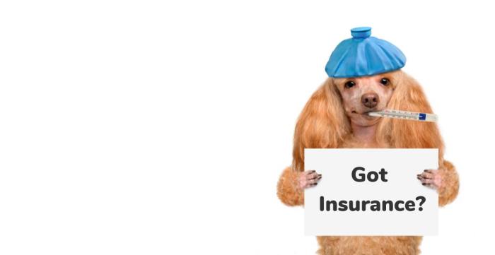 Are pet insurance companies regulated