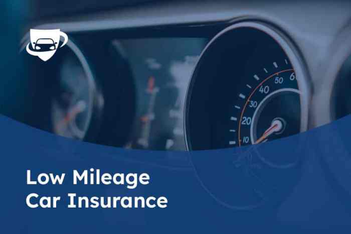 What insurance companies offer low mileage discount