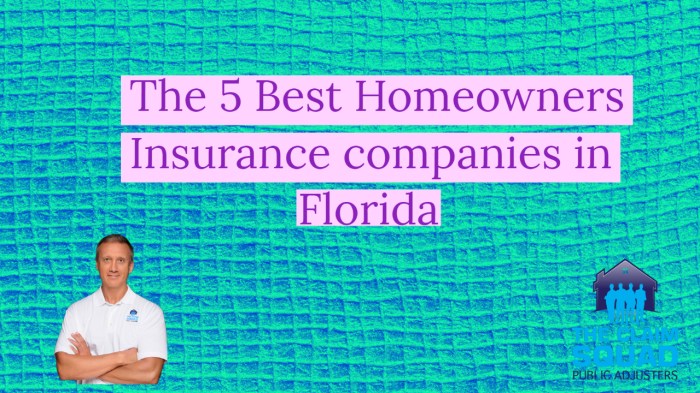 What insurance companies insure homes in florida