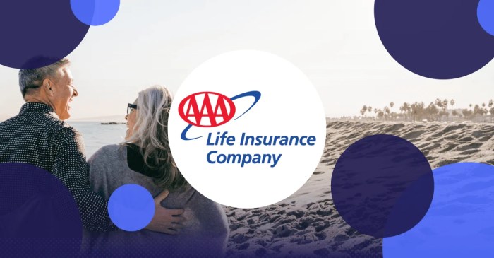 Is aaa a good insurance company