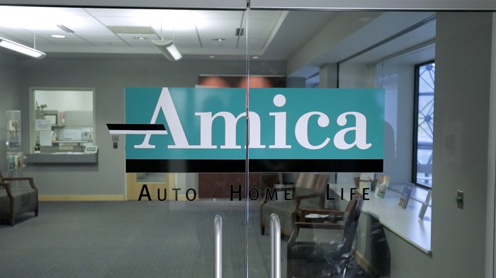 Amica insurance mutual auto