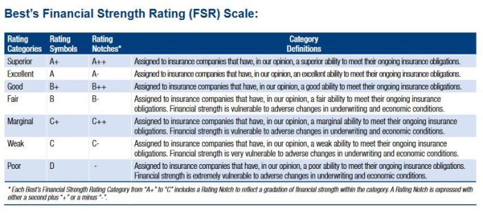 Am best rating scale for insurance companies