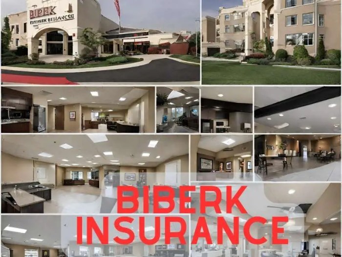 Is biberk a good insurance company