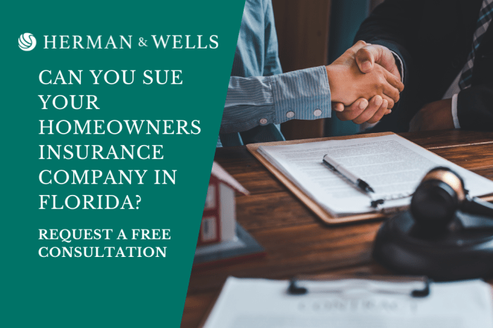 Can you sue your homeowners insurance company