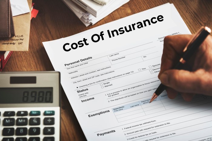 How much does company insurance cost