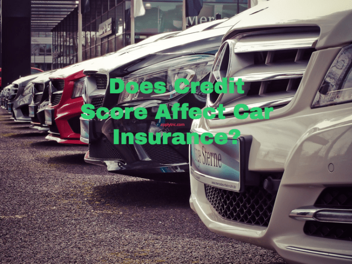 Do auto insurance companies run your credit