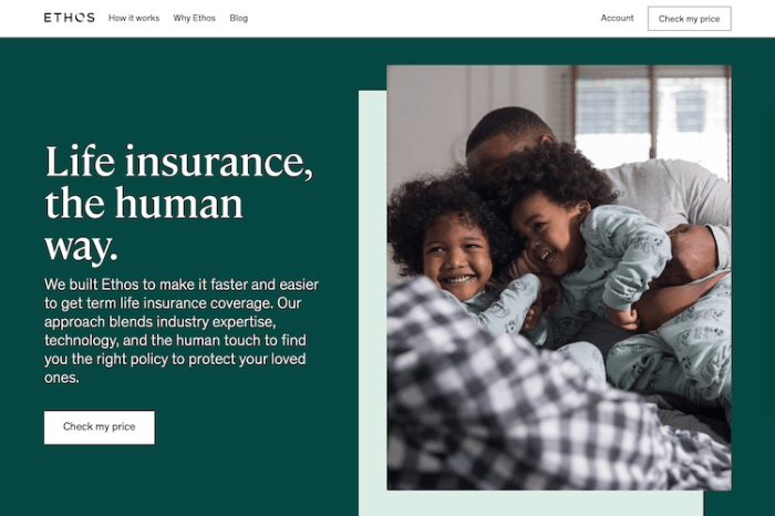 Is ethos a good life insurance company