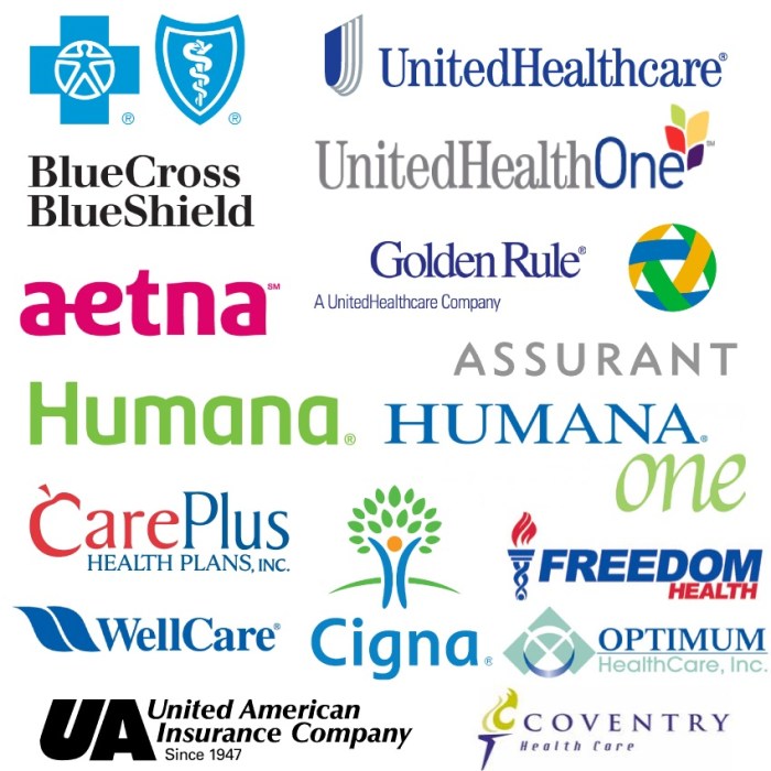 What are the major health insurance companies