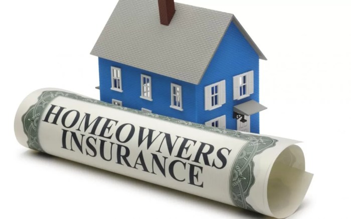 What insurance companies insure homes in florida