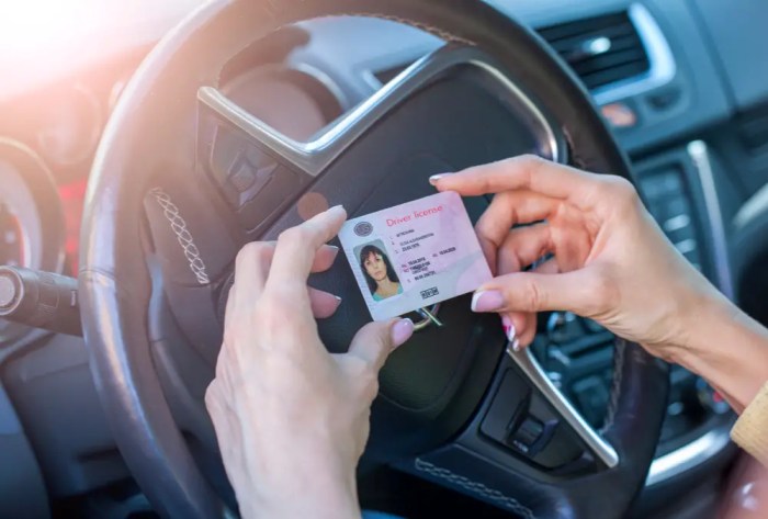 Can insurance companies see if your license is suspended