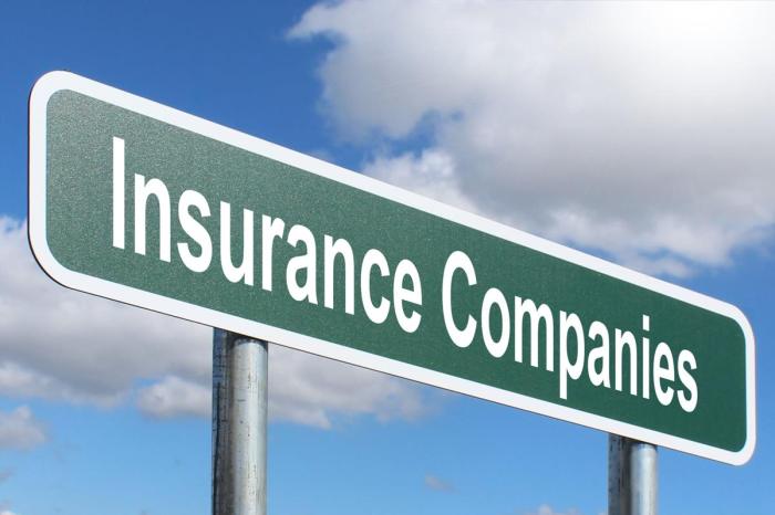 What are mutual insurance companies