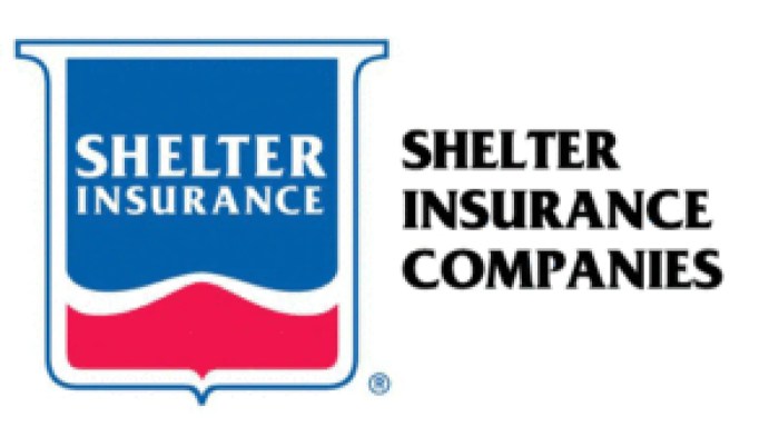 Is shelter insurance a good company