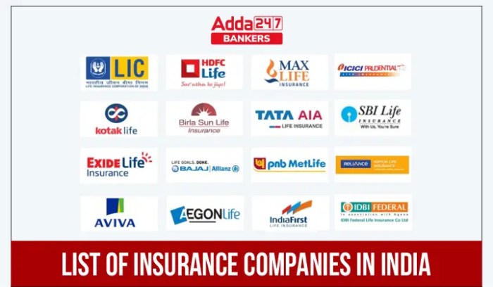 What is the top life insurance company