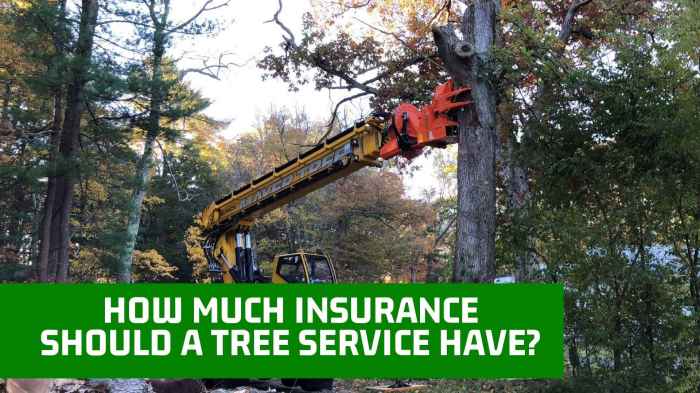 Will insurance companies pay for tree removal