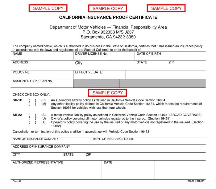 What insurance companies offer sr22