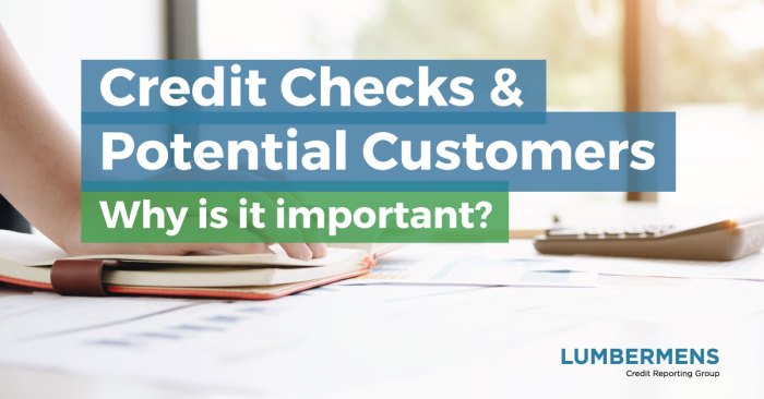 Do insurance companies do credit checks