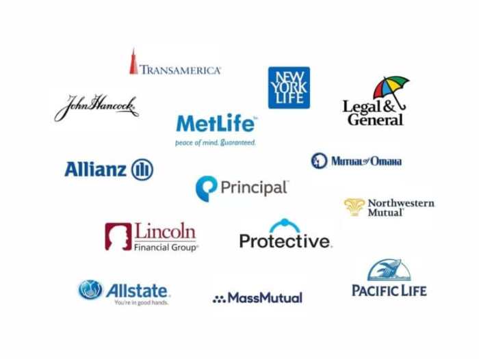 Who are the largest insurance companies