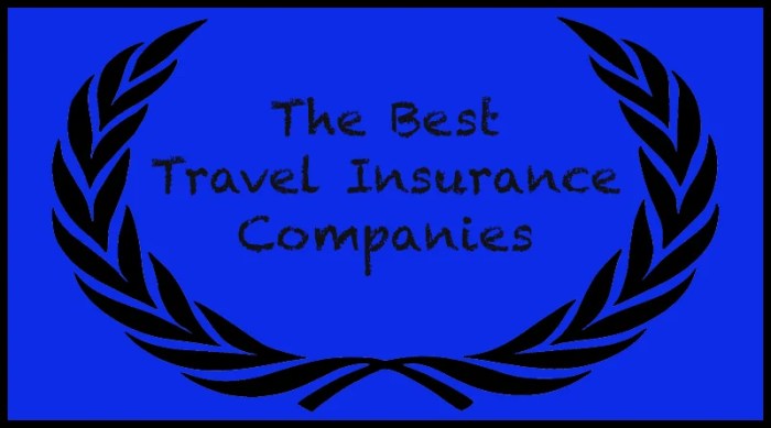 Who are the best travel insurance companies