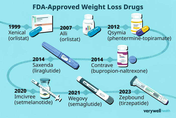 What insurance companies cover weight loss medications