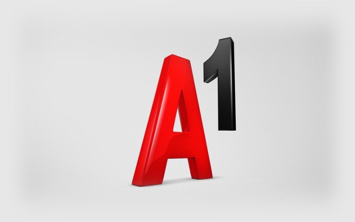 A-1 insurance company