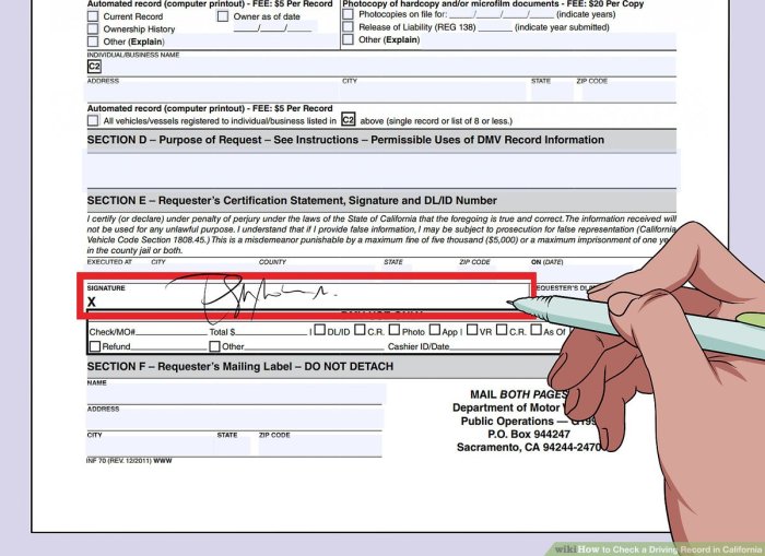 Do insurance companies check your driving record