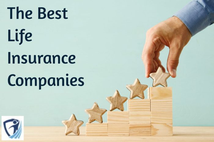 Life insurance companies top canada canadian company financial based revenue business infographic list year lsminsurance ca findings last magazine post