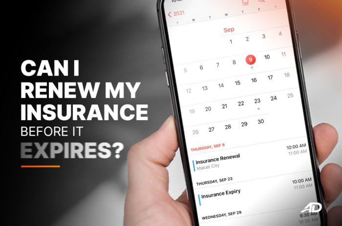 Can you switch insurance companies before renewal