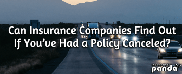 Can insurance companies