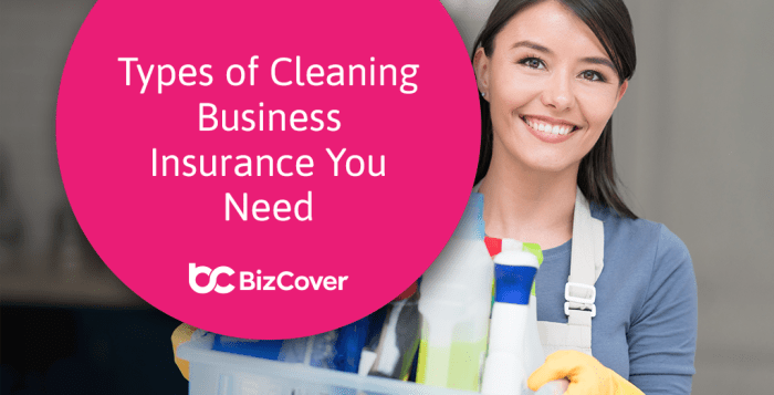 Do cleaning companies need insurance