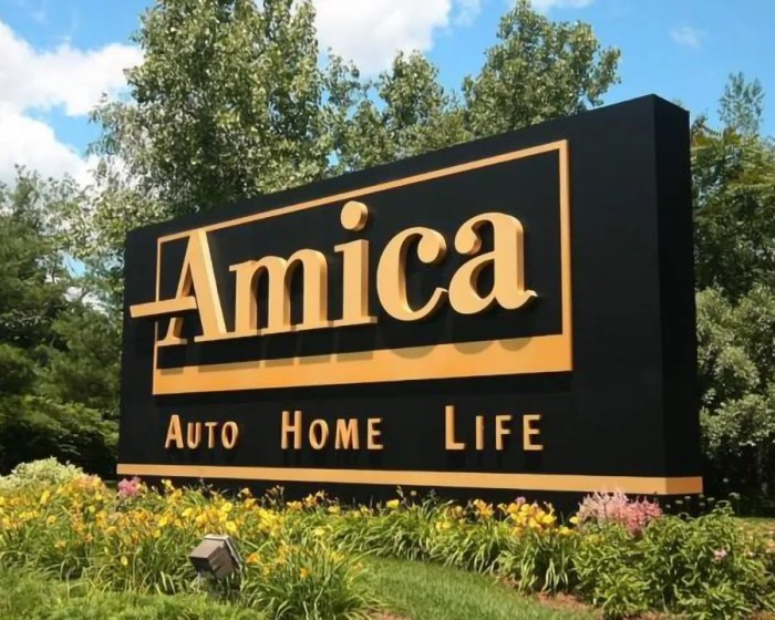 Is amica a good insurance company