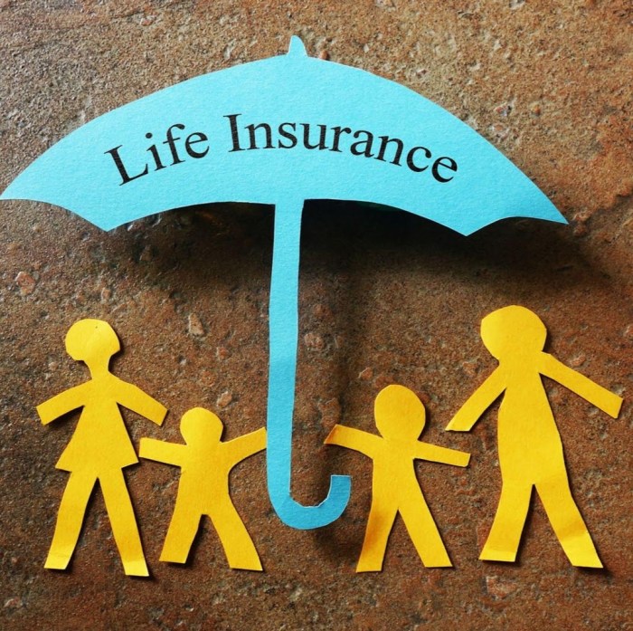 Insurance life top companies rated