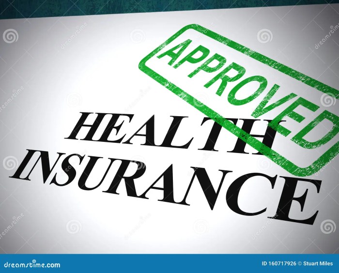 Does a small company have to provide health insurance